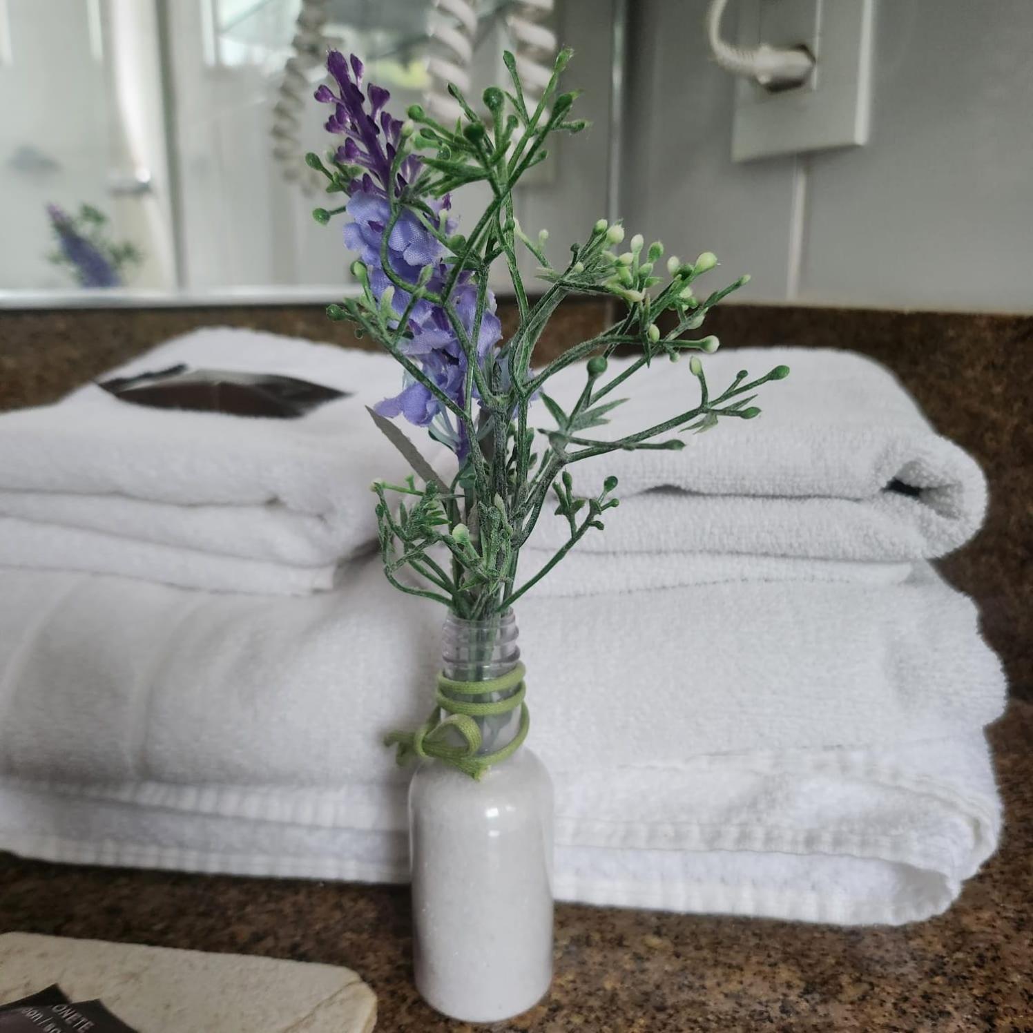 Hotel Da Vinci 세라니그라 외부 사진